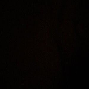 Meet your Posher, Sammy